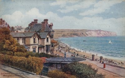 Esplanade and Culver Cliffs, Sandown, Isle of Wight by Alfred Robert Quinton